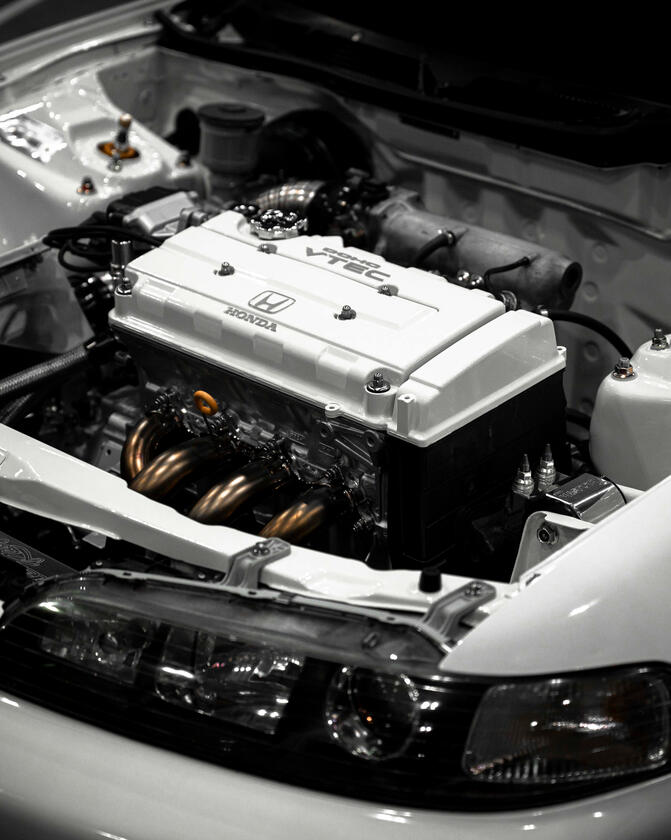 black label car show